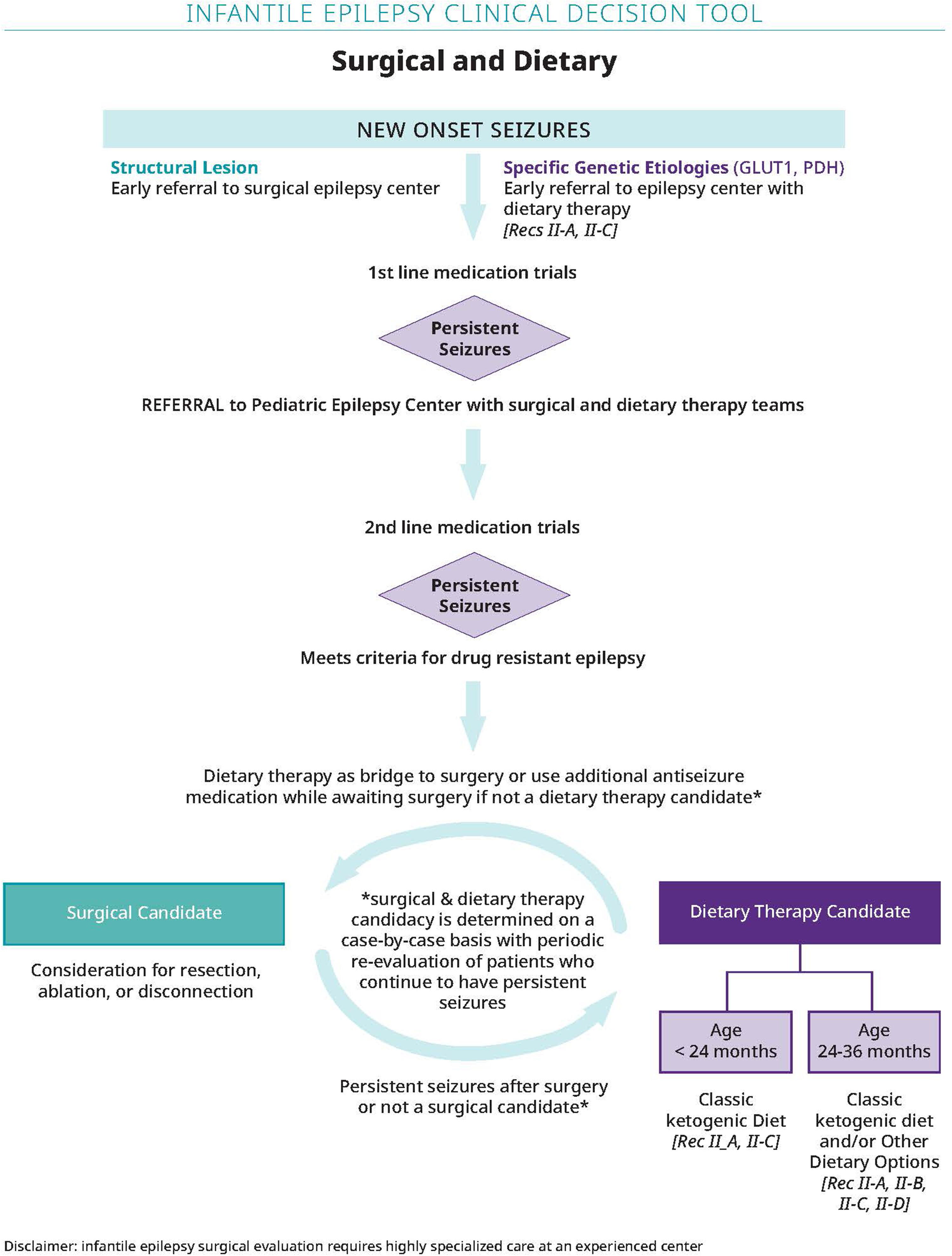 Surgical and Dietary Treatment Pathways algorithm