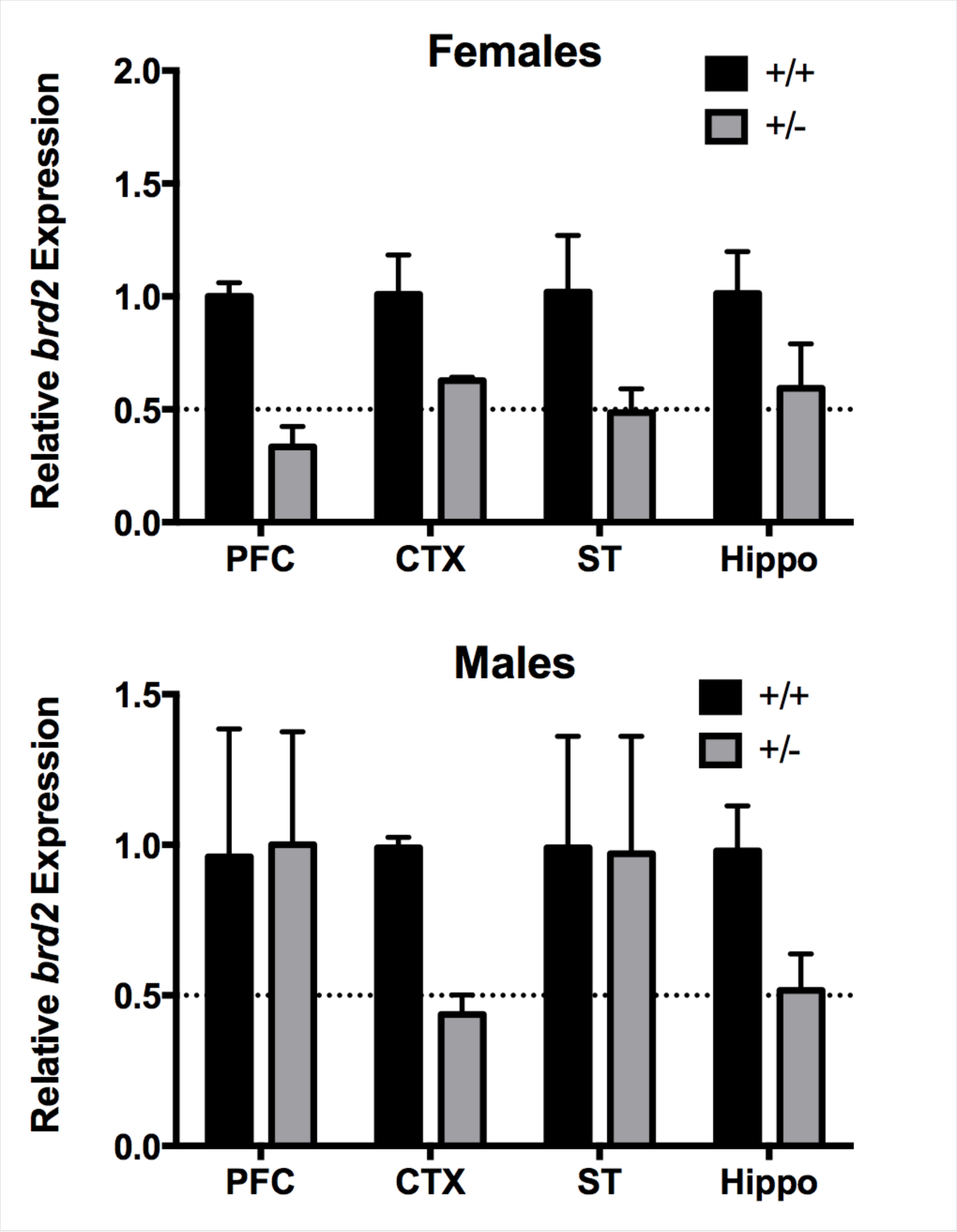 Sex And Brain Region Specific Regulation Of Brd2 In Gabaergic Neurons In A Juvenile Myoclonic