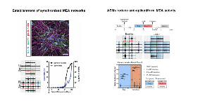 Figure1AES2021