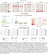 Decomposing-MRI-phenotypic-heterogeneity-in-epilepsy-has-clinical-relevance