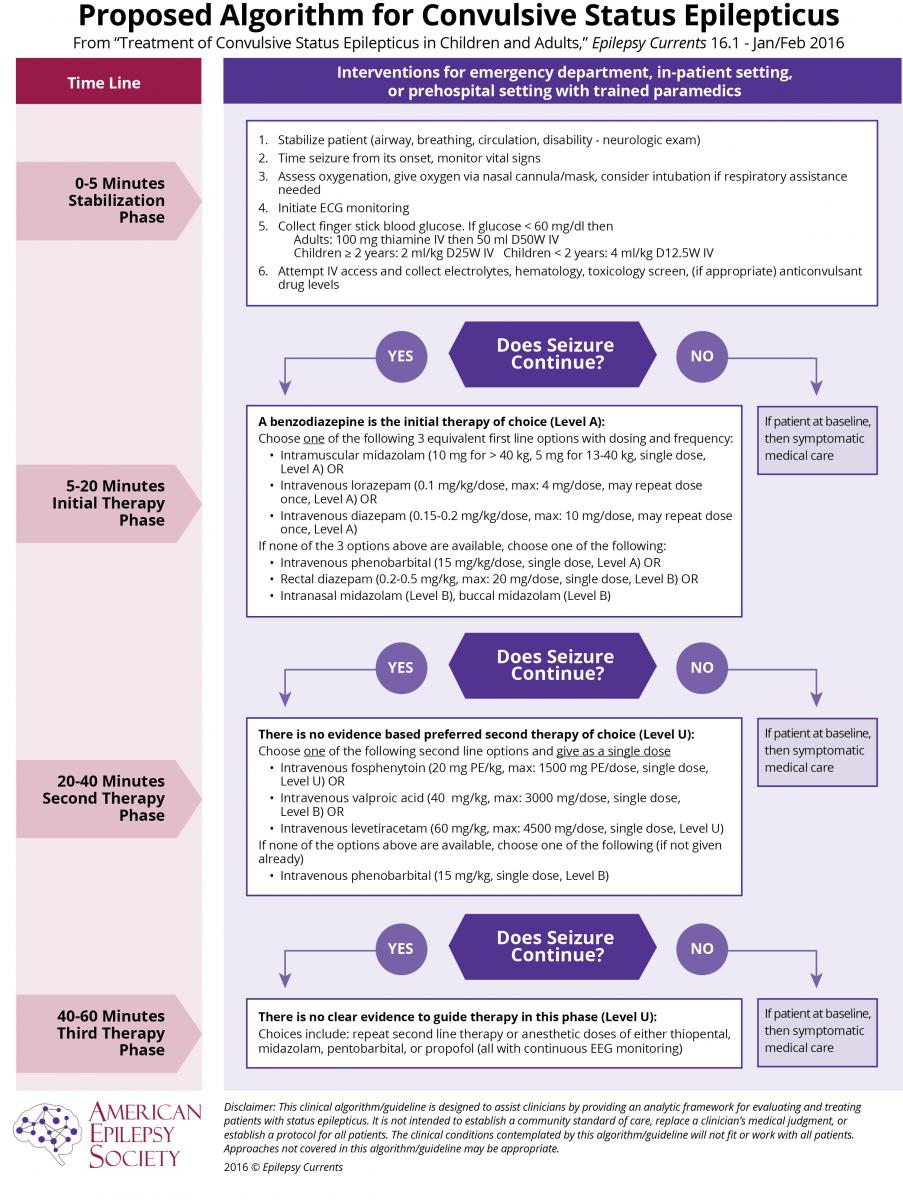 Guideline For Treatment Of Prolonged Seizures In Children And Adults   Cse Treatment Chart Final Rerelease 